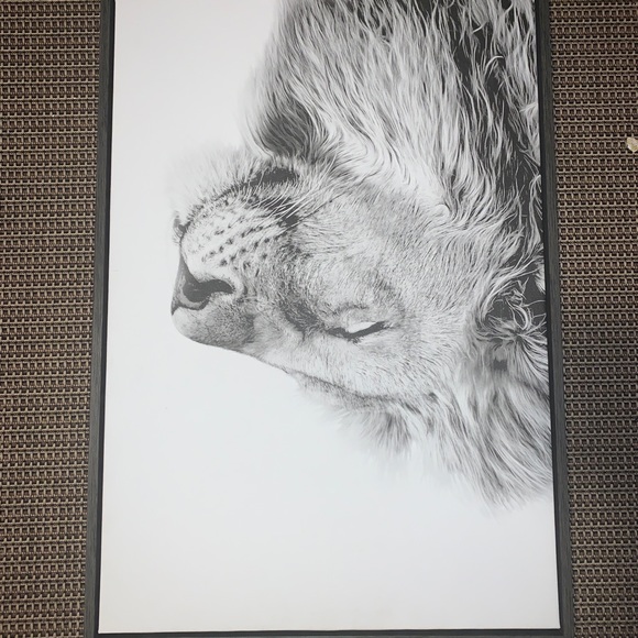 Lion canvas wooden border - Picture 3 of 6